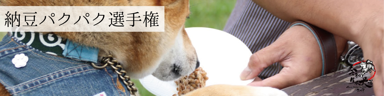 納豆パクパク選手権 令和日本犬博公式サイト