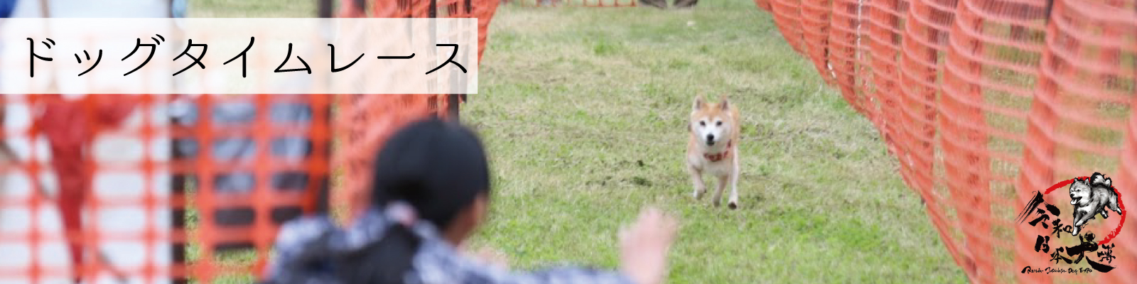 ドッグタイムレース 令和日本犬博公式サイト