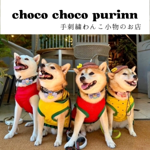 choco choco purinn