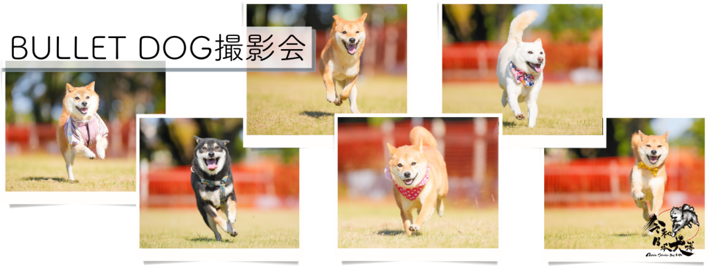 BULLET DOG撮影会