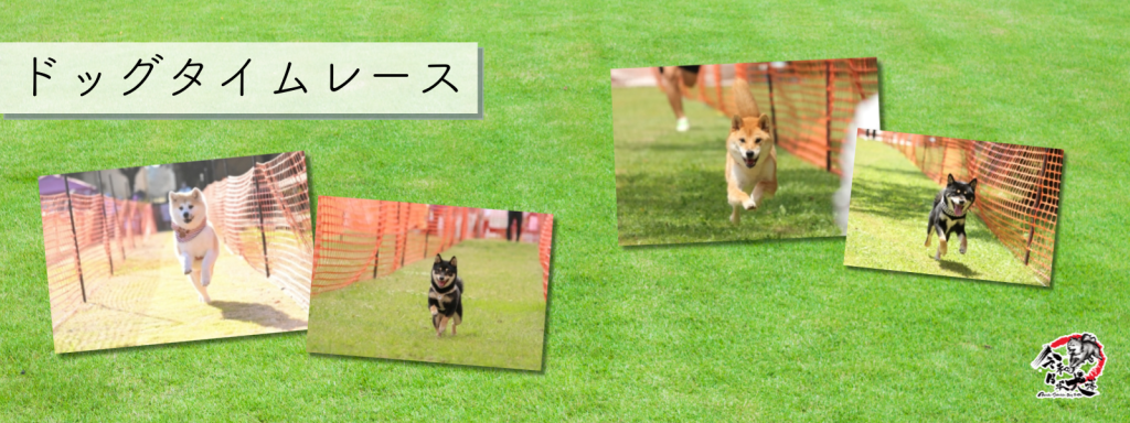 ドッグタイムレース