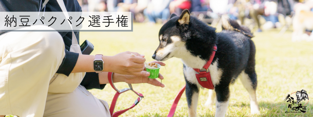 納豆パクパク選手権