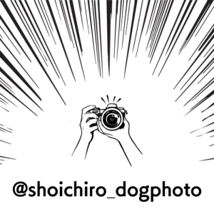 @shoichiro_dogphoto