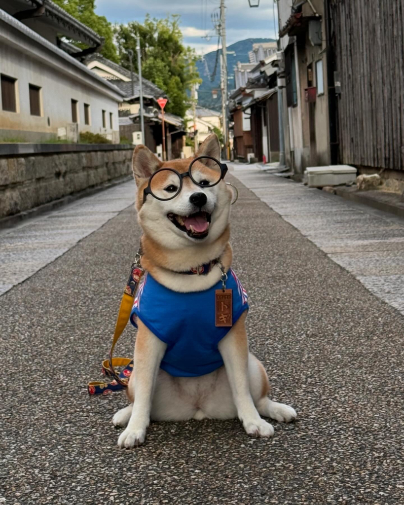 トキちゃん