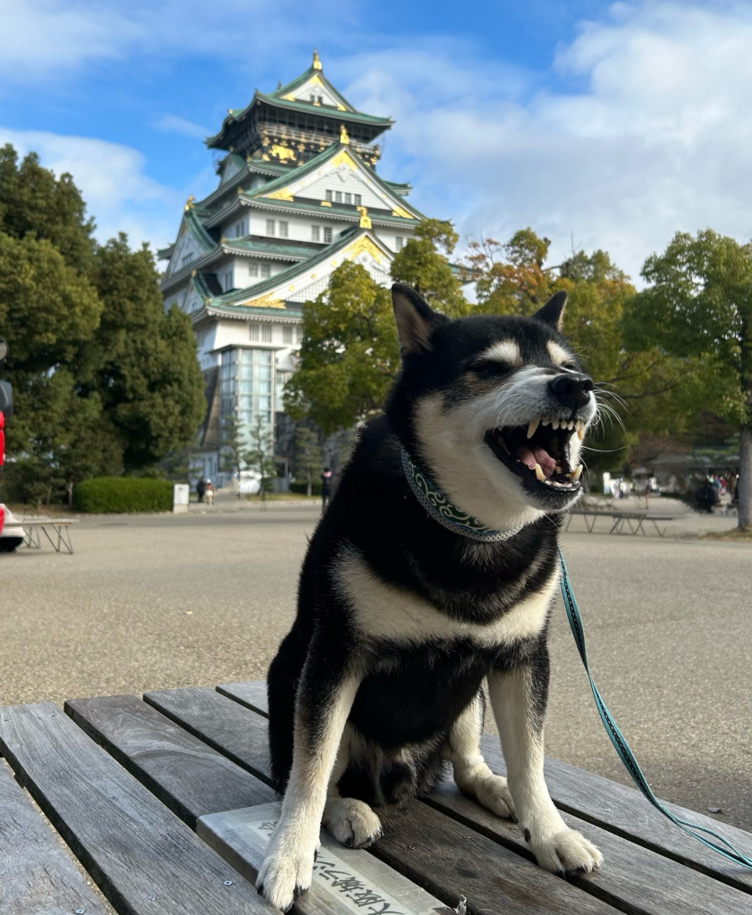 こてつくん