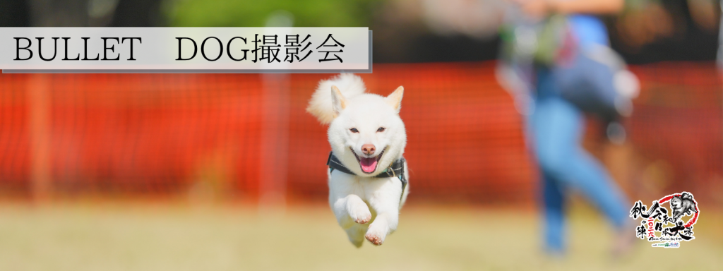 BULLET DOG撮影会