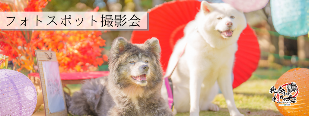 フォトスポット撮影会