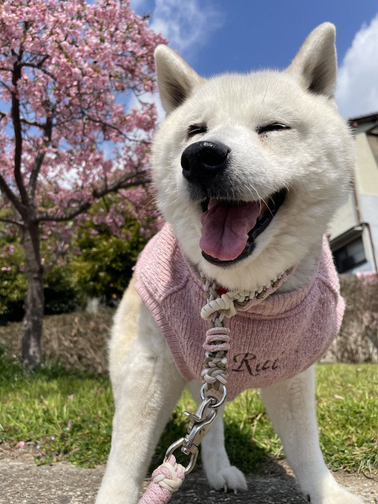 來(らい)ちゃん