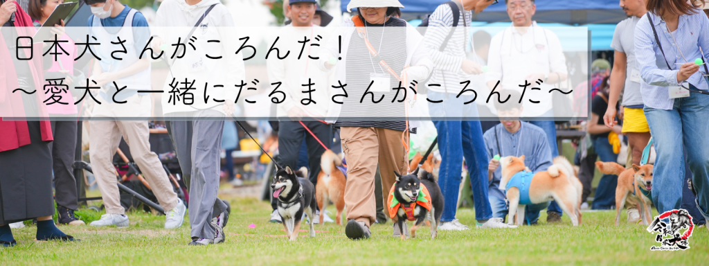 日本犬さんがころんだ！ 〜愛犬と一緒にだるまさんがころんだ〜
