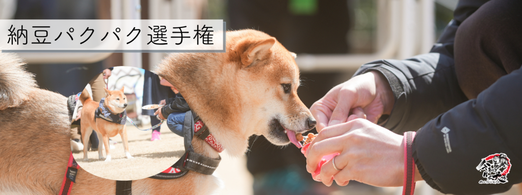 納豆パクパク選手権