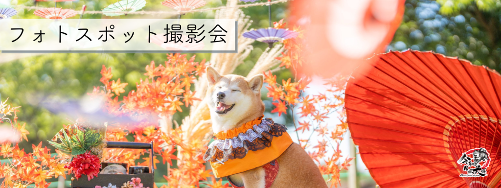 フォトスポット撮影会