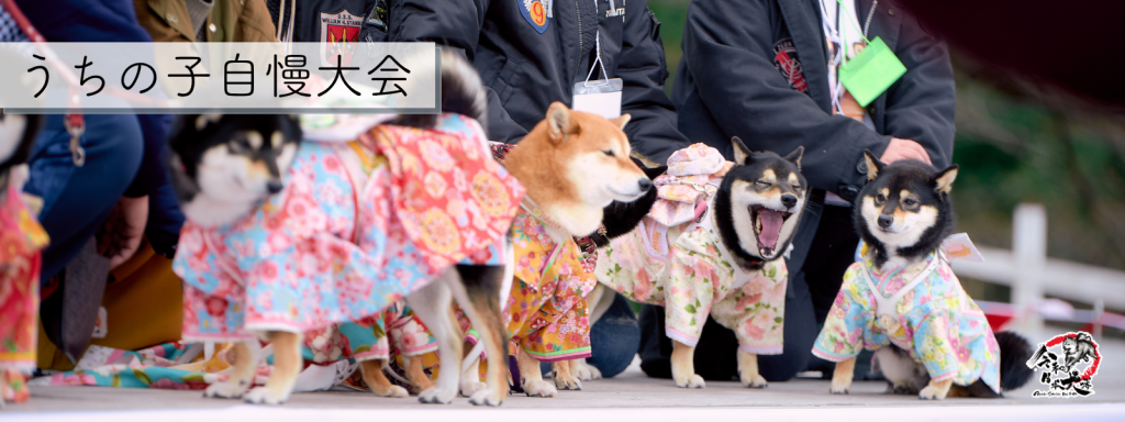 うちの子自慢大会
