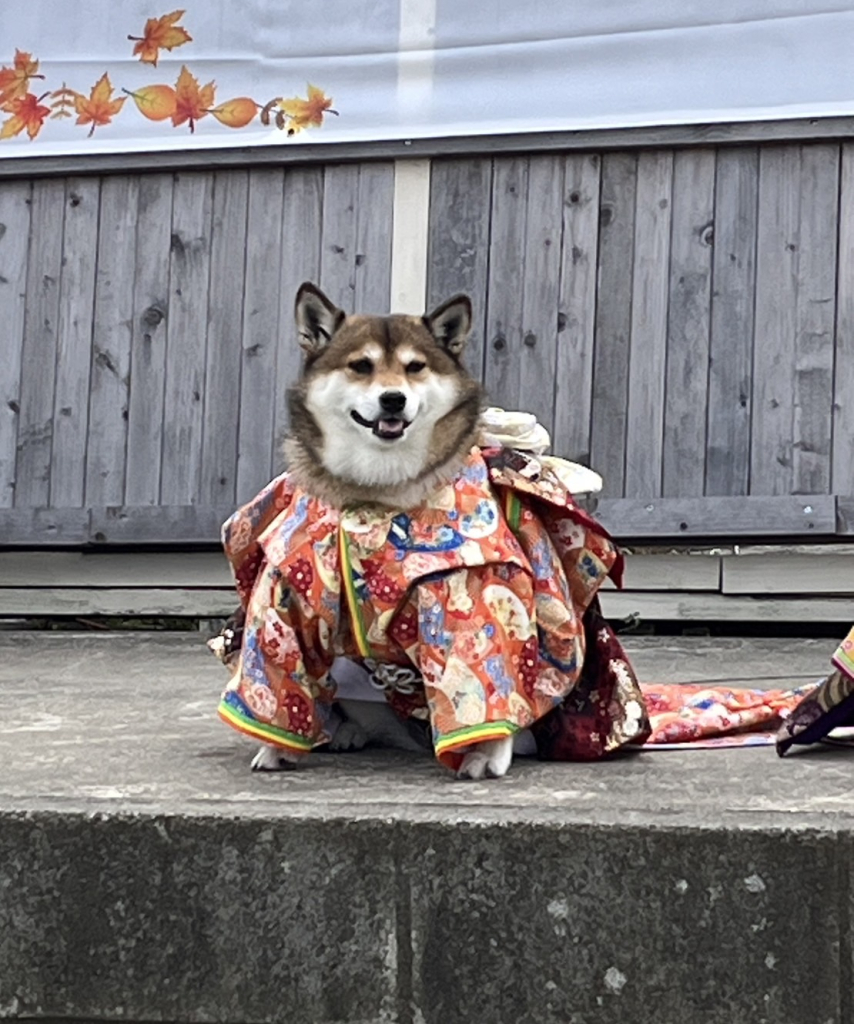 みかんちゃん