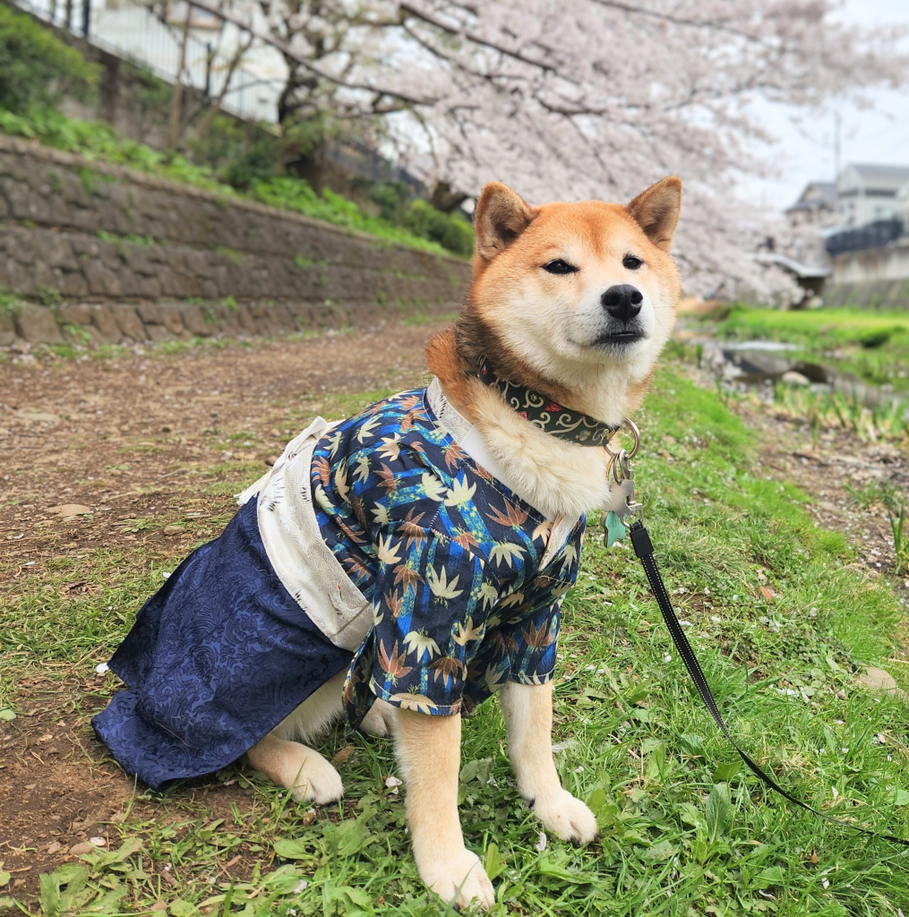 福くん