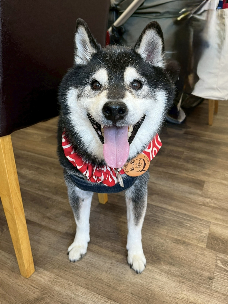 黒鉄(テツ)くん