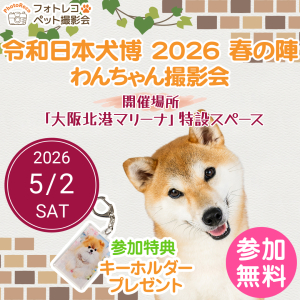 フォトレコペット撮影会