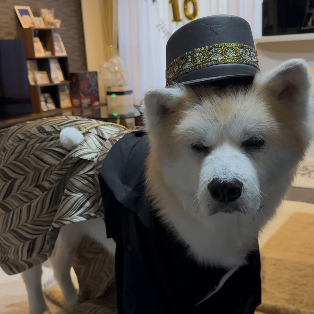 寅くん