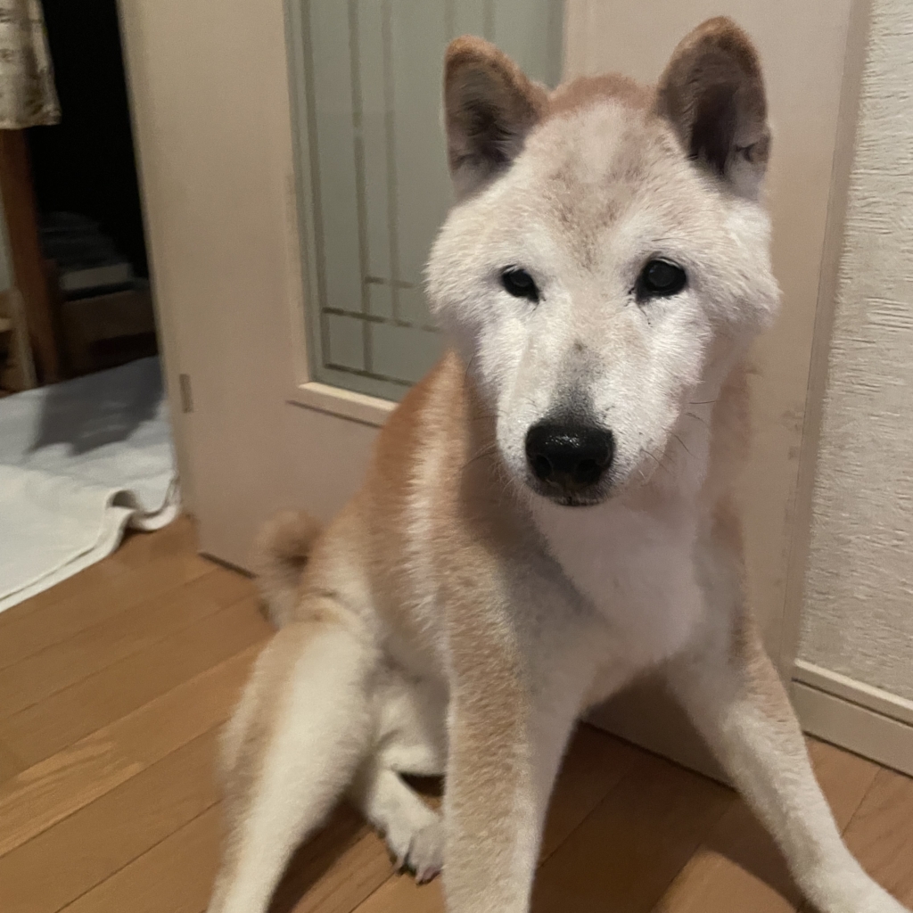 凛ちゃん